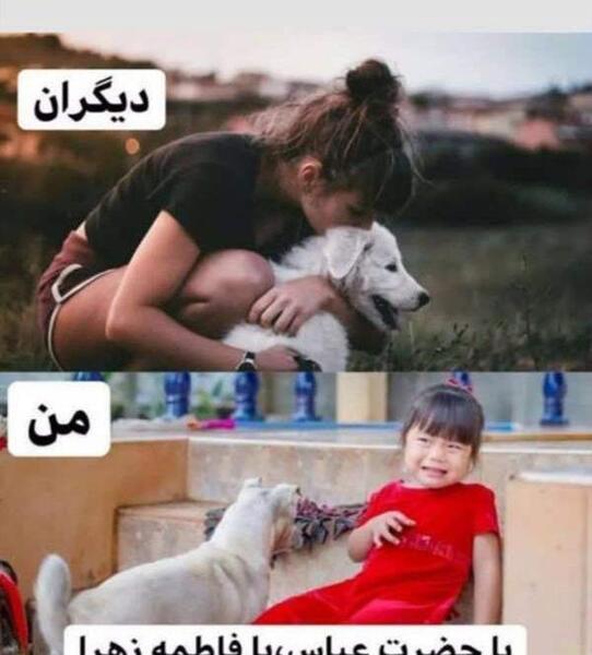 عکس بارداری خنده دار نی نی سایت