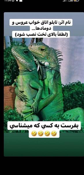 عکس بارداری خنده دار نی نی سایت