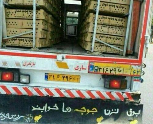 خنده دار ترین عکس نی نی سایت