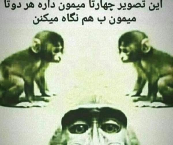 خنده دار ترین عکس نی نی سایت