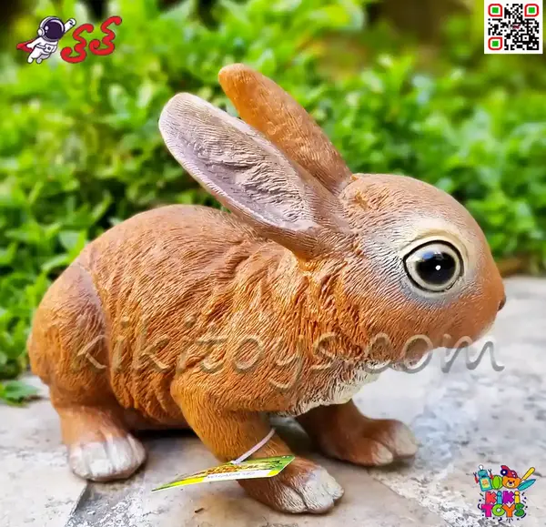 عکس خرگوش بزرگ واقعی