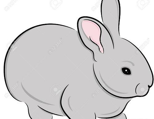 عکس خرگوش نقاشی فانتزی