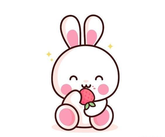 عکس خرگوش بامزه کیوت
