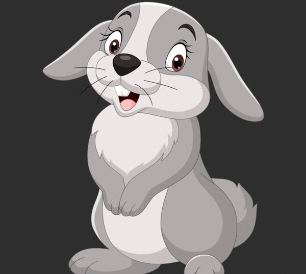 عکس خرگوش برای پروفایل شاد