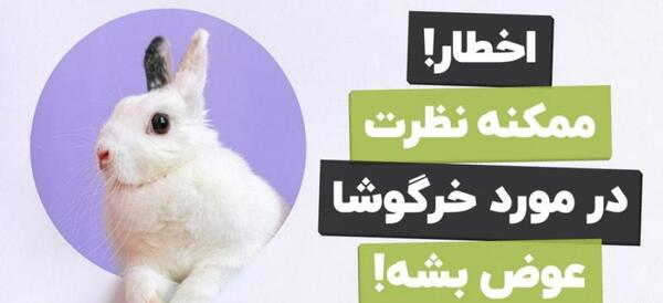 عکس خرگوش لوپ با لباس