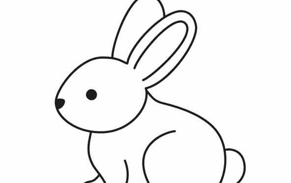 عکس خرگوش بچگانه نقاشی