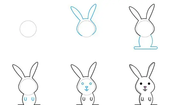 عکس های کارتونی خرگوش بامزه سفید