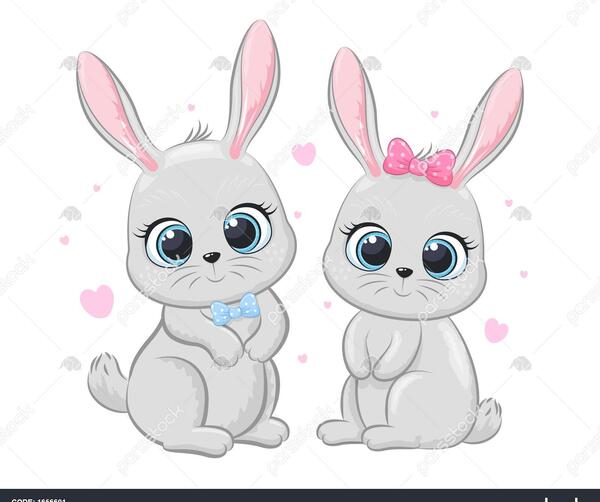 عکس خرگوش خوشگل بامزه