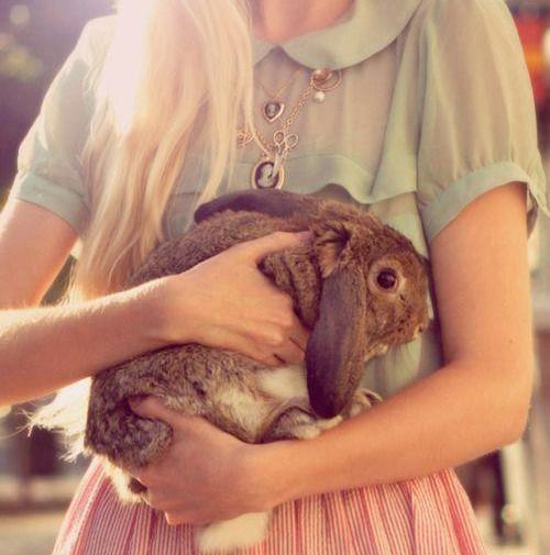 عکس خرگوش دخترانه برای پروفایل