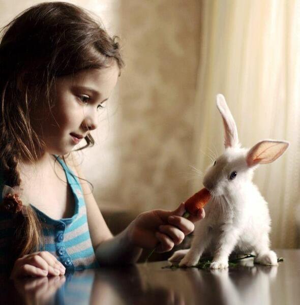 عکس خرگوش دخترانه برای پروفایل