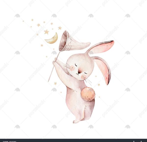 عکس نقاشی خرگوش در جنگل