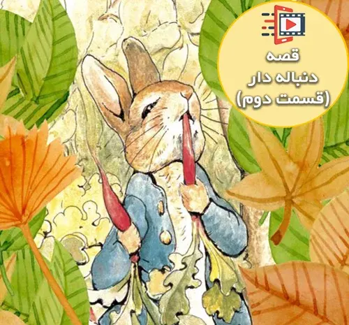 عکس خرگوش ریزه میزه