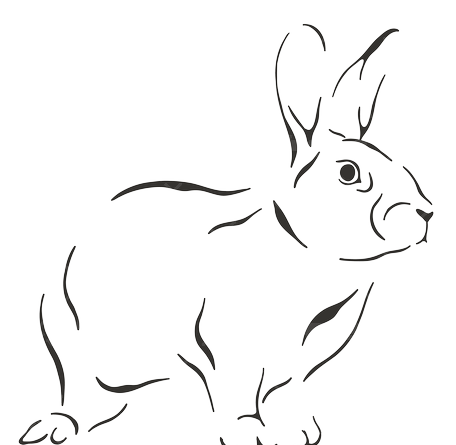 عکس خرگوش برای رنگ آمیزی