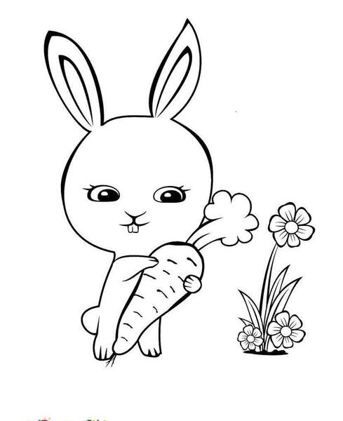 عکس خرگوش برای رنگ آمیزی