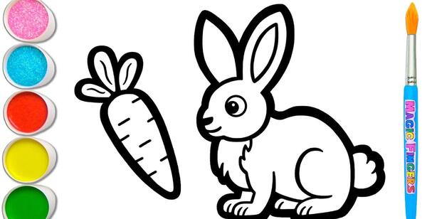 عکس خرگوش برای رنگ آمیزی کودکان
