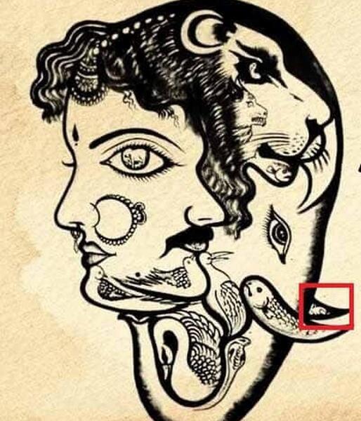عکس خرگوش سیاه قلم