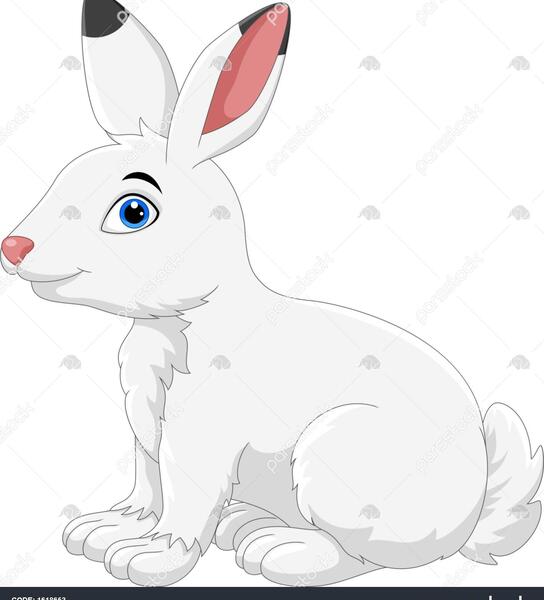 دانلود عکس خرگوش قطبی