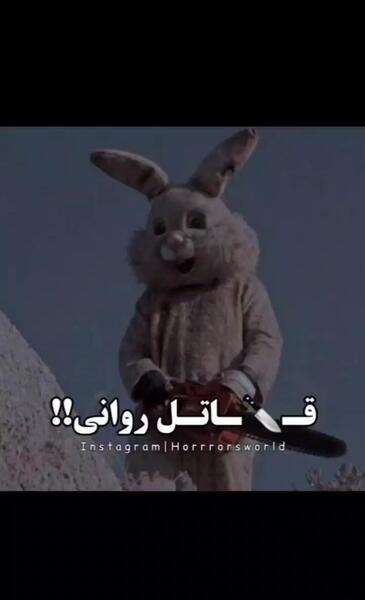 عکس خرگوش های قاتل