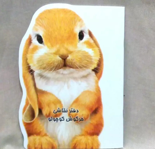 عکس خرگوش کوچولوها