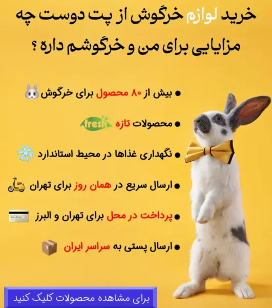 عکس خرگوش گوشت