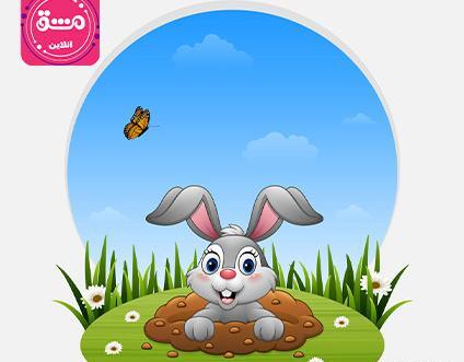 عکس خرگوش که مرده