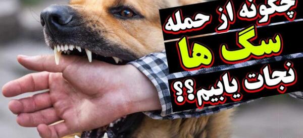 عکس وحشی ترین خرگوش جهان
