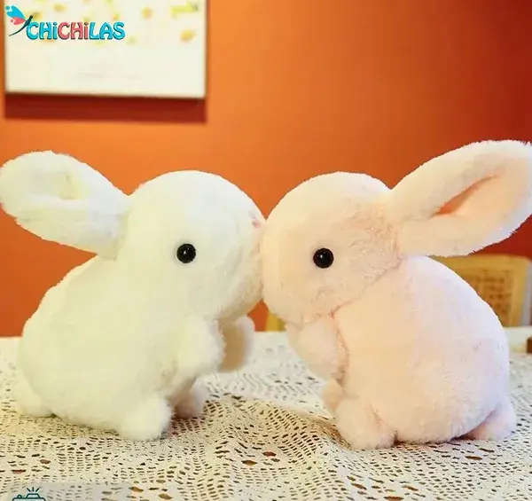 عکس خرگوش واقعی بامزه