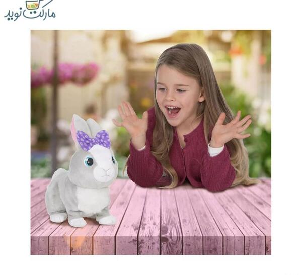 عکس خرگوش واقعی بنفش