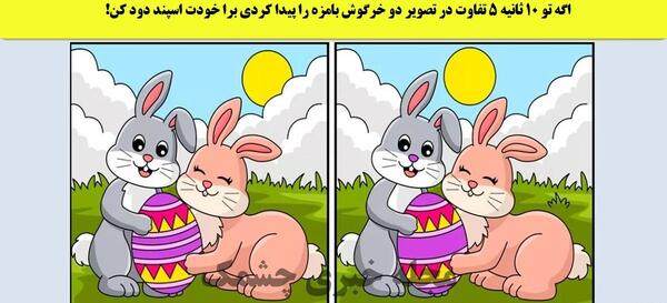 عکس خرگوش و گربه و سگ