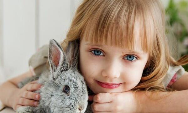 عکس گربه و خرگوش کنار هم