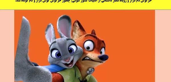 عکس خرگوش روباه