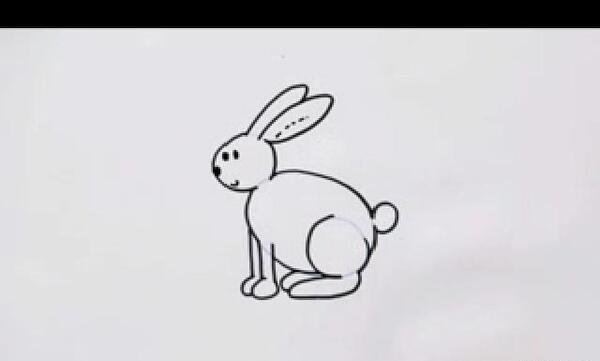 عکس خرگوش و جوجه رنگی