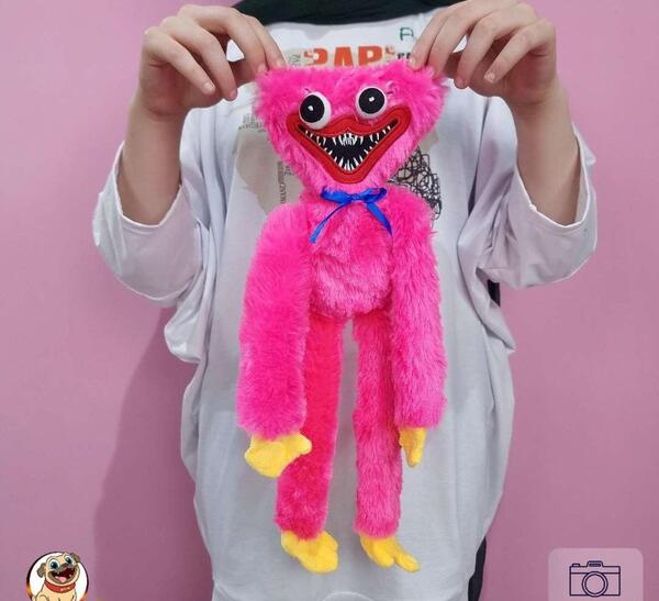 عکس خرگوش هاگی واگی