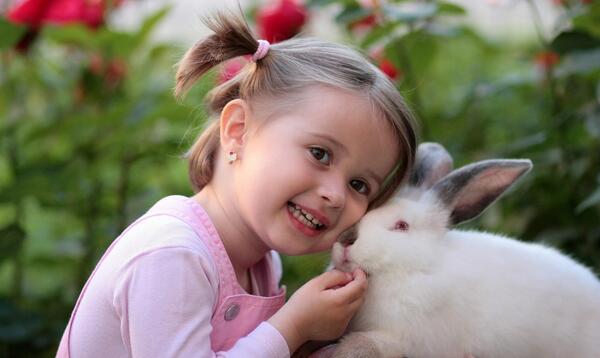 عکس های بچه خرگوش ناز