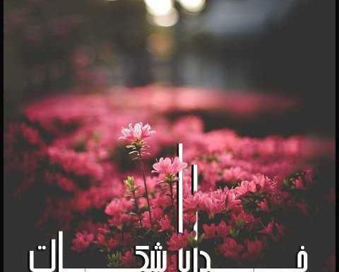 عکس نوشته خدا بدون متن