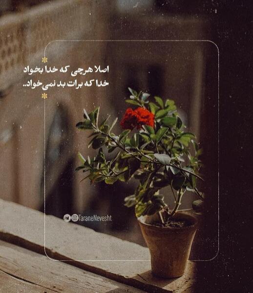 عکس جدید خدا پروفایل