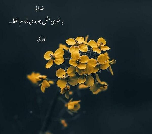 دانلود عکس پروفایل خدا جونم شکرت