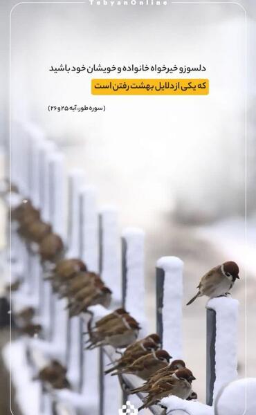 عکس خدا بهشت