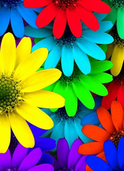عکس نام خدا روی گل