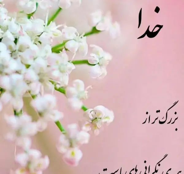 عکس نام خدا روی گل