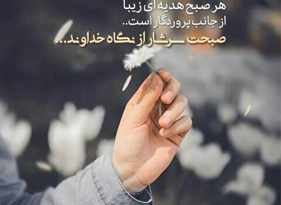عکس سپاس از خداوند
