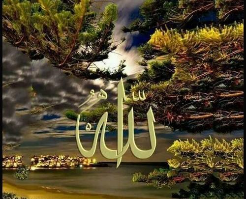 دانلود عکس عبادت خدا