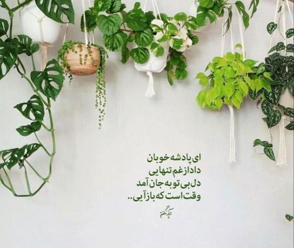 عکس غم خدا