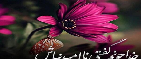 عکس کمک خدا به بنده