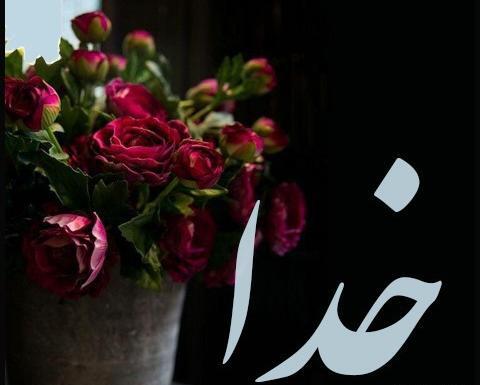 عکس خدا در گل