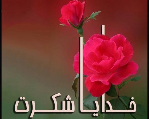 عکس خدا در گل