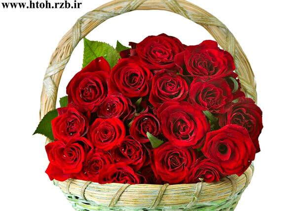 عکس خدا در گل