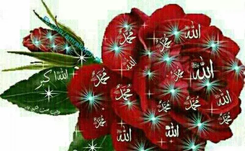 عکس خدا در گل