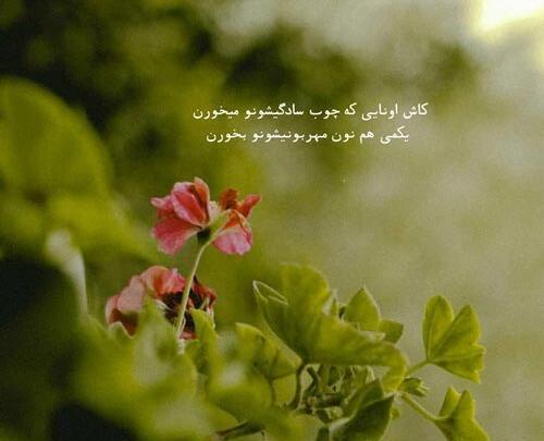 عکس نوشته مهربانی خدا