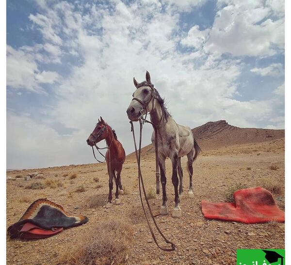 اسب عکس خدا واقعی در اسمان